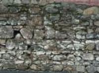 wall